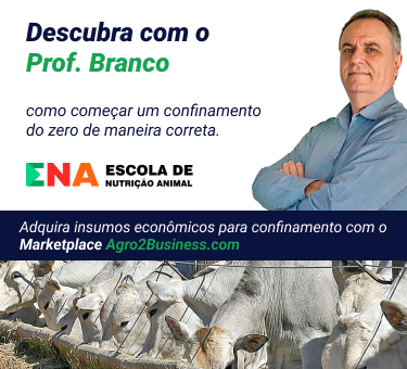 Entrega para todo Brasil