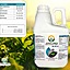 ADUBO LIQUIDO 1 LITRO Concentrado - NPK 08.28.16 - 200 Litros