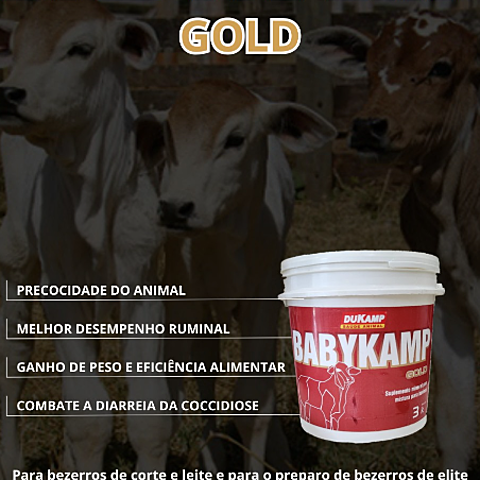 BABYKAMP GOLD - 3 Kg - DUKAMP