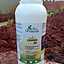 Fertilizante Mineral Misto Foliar Crown AD Plus