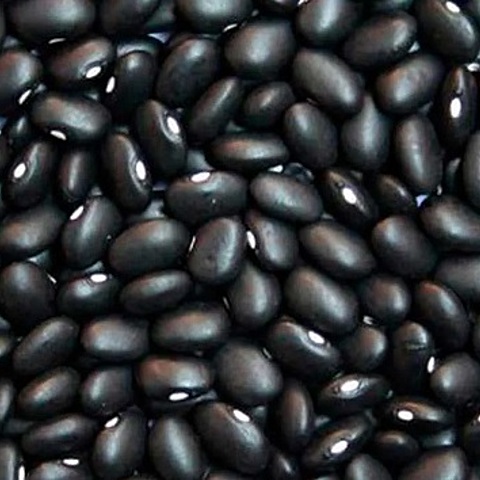 500 sementes feijão preto crioulo p/ plantio