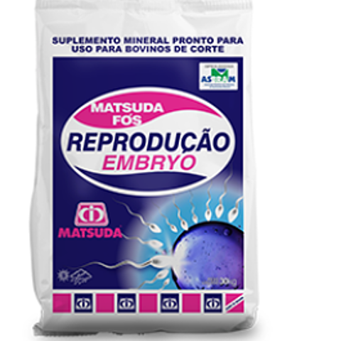 Fós Reprodução Embryo - MATSUDA