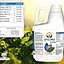 Adubo Liquido Npk 10.10.10  - 25 Litros